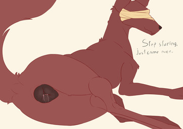 animal_ears animal_genitalia animal_vulva bandage blind canine_genitalia canine_vulva disability female feral genitals looking_back presenting presenting_vulva red_body solo tail text vulva wide_hips sasers ria_(sasers) canid canine canis jackal mammal absurd_res english_text hi_res
