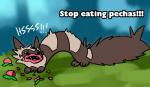 angry food fruit pecha_berry plant pokemon_berry solo blitzdrachin conditional_dnp nintendo pokemon heartberry furret generation_2_pokemon mammal mustelid pokemon_(species)