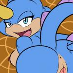 anthro anus blue_eyes breasts butt female genitals looking_at_viewer looking_back nipples open_mouth presenting presenting_hindquarters pussy solo thick_thighs saltcore sega sonic_the_hedgehog_(series) fan_character 1:1 2011