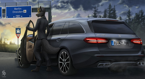 anthro black_nose bottomwear claws clothed clothing cloud detailed_background digitigrade eyewear fluffy fluffy_tail fur glasses grey_body grey_bottomwear grey_clothing grey_fur grey_pants grey_topwear logo looking_at_viewer male mouth_closed orange_eyes outside pants plant rectangular_glasses smoke solo standing sunset tail text topwear tree yellow_claws yellow_sclera cereus93 mercedes-benz canid mammal artist_logo artist_name full-length_portrait portrait