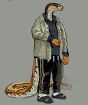 5_fingers anthro belly clothing fingers footwear grey_background hoodie jacket male sandals scales shoes simple_background socks_with_sandals solo standing tail topwear white_belly white_clothing white_jacket white_topwear yellow_body yellow_scales eggtomatosoup reptile scalie snake