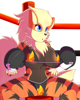 anthro anthrofied areola areola_slip biped blue_eyes boxing boxing_gloves bra breasts chair clothing female fighting_ring fluffy fluffy_tail front_view fur furniture handwear markings multicolored_body multicolored_fur navel nipple_outline open_mouth orange_body orange_fur panties simple_background sitting solo sport spread_legs spreading stripes tail under_boob underwear white_background mlpboxing nintendo pokemon arcanine canid canine generation_1_pokemon mammal pokemon_(species) absurd_res hi_res