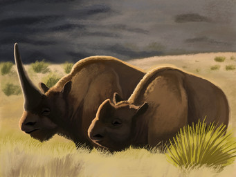 brown_body brown_fur feral fur grass grass_field grey_sky horn plant quadruped short_fur sky steppe agustindiazart elasmotherium mammal rhinoceros 2021 4:3 hi_res