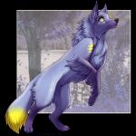 ambiguous_gender black_nose feral fur paws purple_body purple_fur solo yellow_eyes silvermoonfox canid canine fox mammal 1:1 alpha_channel