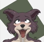 ahegao anthro blush female looking_pleasured mouth_shot open_mouth simple_background solo tongue tongue_out uvula delta_dewitt beastars juno_(beastars) canid canine canis mammal wolf digital_media_(artwork) hi_res