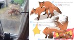 ambiguous_gender countershading duo feral fight humor motion_lines open_mouth photo star_eyes star_oculama suplex symbol-shaped_eyes text unusual_eyes x_eyes dr.whiger canid canine fox mammal 2021 english_text hi_res meme watermark