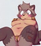 anthro belly belly_overhang big_belly big_breasts bikini blush bodily_fluids breasts camel_toe clothing deep_navel female gold_bikini navel nipple_outline overweight overweight_anthro overweight_female pawpads solo spread_legs spreading sweat sweatdrop swimwear thick_thighs two-piece_swimsuit wide_hips alpi golden_week canid canine mammal raccoon_dog tanuki hi_res