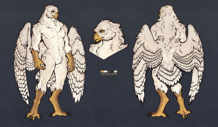 anthro beak black_beak black_body black_claws black_feathers claws fantasy feathers male muscular muscular_male nude nude_anthro nude_male scales solo stripes tall white_body white_feathers wings yellow_beak yellow_body yellow_eyes yellow_scales tashiroth elden_ring_nightreign fromsoftware accipitrid accipitriform avian bird eagle hi_res model_sheet