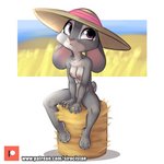 absurd_res anthro areola bodily_fluids breasts clothing disney female front_view full-length_portrait hat hat_only hay hay_bale headgear headgear_only headwear headwear_only hi_res judy_hopps lagomorph leporid looking_up mammal mostly_nude nipples portrait purple_eyes rabbit siroc sitting solo straw_hat sweat sweaty_breasts sweaty_legs sweaty_thighs zootopia