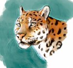 ambiguous_gender black_spots feral leopard_spots pink_nose solo spots whiskers yellow_eyes saeto15 felid jaguar mammal pantherine digital_media_(artwork) headshot_portrait hi_res portrait