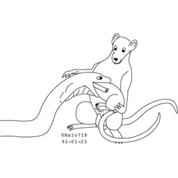 age_difference animal_genitalia assisted_vore balls feral feral_pred feral_prey forced fur genitals group head_first larger_pred male male/male male_pred male_prey nude_male nude_pred nude_prey older_pred open_mouth oral_vore rat_tail sheath simple_background size_difference smile tail trio unwilling_prey vore white_background willing_pred young young_prey urbanhermit mammal murid murine rat reptile rodent scalie snake 1992 1:1 black_and_white dated monochrome
