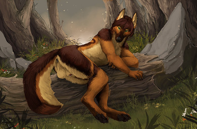 animal_genitalia animal_penis anthro anus balls big_balls biped brown_body brown_fur canine_genitalia canine_penis claws digitigrade finger_claws fingers flower fluffy fluffy_tail fur genital_piercing genitals grass green_eyes head_turned humanoid_hands inner_ear_fluff long_tail looking_aside lying male multicolored_body multicolored_fur night nude_anthro nude_male on_side outside pawpads penis penis_piercing penis_tip perineum piercing plant pose prince_albert_piercing sheath solo star tail tan_body tan_fur tree tuft i-psilone riff_(riff34) canid canine canis domestic_dog german_shepherd herding_dog mammal pastoral_dog 2023 colored full-length_portrait pinup portrait shaded