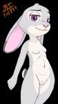 anthro biped breasts featureless_breasts featureless_crotch female fur grey_body grey_fur long_ears looking_at_viewer navel nude purple_eyes simple_background small_breasts smile solo standing transparent_background jenokamui disney zootopia judy_hopps lagomorph leporid mammal rabbit alpha_channel