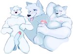 anthro balls blush bodily_fluids cum cum_on_face erection foreskin genital_fluids genitals kneeling male masturbation muscular muscular_anthro muscular_male nipples nude one_eye_closed pecs penile penile_masturbation penis simple_background solo tongue tongue_out white_background zetameow canid canine canis domestic_dog mammal hi_res