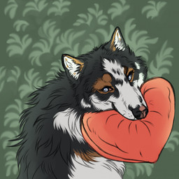 ambiguous_gender black_body black_fur blue_eyes brown_markings cheek_tuft facial_tuft feral fur heart_pillow markings neck_tuft object_in_mouth pattern_background pillow simple_background solo tuft white_body white_fur msdeadsoul nava_(nava) canid canine mammal 1:1 hi_res