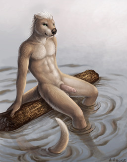 abs animal_genitalia anthro balls bent_legs biped brown_nose collarbone detailed_fur dipstick_tail erection extended_arm fur genitals green_eyes hair humanoid_genitalia humanoid_penis hybrid_genitalia hybrid_penis legs_in_water legs_over_edge log looking_aside looking_at_viewer male markings nude outside over_edge partially_submerged penis sheath sheathed_humanoid_penis short_hair sitting soaking_feet solo submerged_legs submerged_tail tail tail_in_water tail_markings tail_out_of_water tail_over_edge tan_body tan_fur water wet whiskers white_hair wood rukis mammal mustelid otter 2017 detailed full-length_portrait portrait