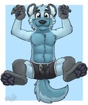 anthro balls_outline biped black_body black_clothing black_ears black_fur black_nose black_pawpads black_underwear blue_background blue_body blue_eyes blue_fur blue_hair blue_tail border boxer_briefs boxer_briefs_only bulge clothed clothing colored_seam_underwear cute_fangs detailed_bulge fangs fur genital_outline hair inner_ear_fluff looking_at_viewer male monotone_hair multicolored_body multicolored_fur pawpads simple_background solo spread_legs spreading tail teeth topless tuft two_tone_tail underwear underwear_only white_border white_inner_ear white_seam_underwear gaokun hyena mammal 5:6 hi_res watermark