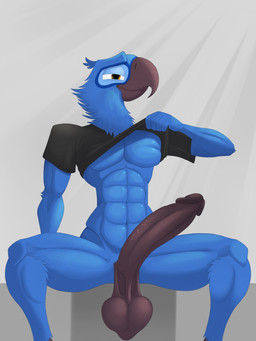 abs anthro balls beak big_balls big_penis black_penis blue_body clothed clothing erection genitals huge_penis looking_at_viewer male mature_anthro muscular muscular_anthro muscular_male orange_eyes partially_clothed penis saggy_balls seductive shirt showing_chest sitting smile solo t-shirt topwear thelordjoshua1 blue_sky_studios rio_(series) blu_(rio) avian bird macaw neotropical_parrot parrot spix's_macaw true_parrot absurd_res hi_res