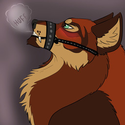anthro bdsm blush bondage bound breath brown_body brown_fur ears_up embarrassed feral fur green_eyes male muzzle_(object) panting red_body red_fur restrained restraints snout solo submissive submissive_anthro submissive_feral submissive_male text thrasher_(artist) mythology valketh canid canine canis mammal mythological_canine mythological_creature werecanid werecanine werecreature werewolf wolf 1:1 hi_res