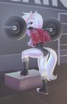 anthro barbell black_eyes blurred_background butt clothing exercise eyebrows female fluffy_ears footwear gym hair jacket leotard looking_at_viewer makeup multicolored_hair multicolored_tail rainbow_hair rear_view red_clothing shoes sneakers socks solo step_pose tail thick_eyebrows topwear white_body white_hair white_tail mikansfw paige_(mikansfw) equid equine horse mammal hi_res watermark