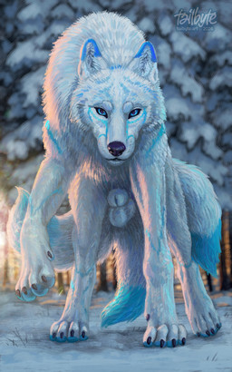3_tails animal_genitalia balls blue_eyes claws feral fully_sheathed fur genitals looking_at_viewer male markings multi_tail outside pawpads paws plant sheath snow solo tail tree white_body white_fur tailbyte canid canine canis mammal wolf 5:8 absurd_res digital_media_(artwork) digital_painting_(artwork) hi_res painting_(artwork) shaded signature
