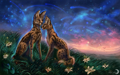 amber_eyes ambiguous_gender black_lips black_nose brown_body brown_fur brown_spots detailed_background digitigrade dipstick_tail duo eye_contact feet feral flower fur grass hindpaw inner_ear_fluff leg_markings lips long_mouth looking_at_another markings multicolored_tail night no_sclera outside paws plant shadow sitting sky snout socks_(marking) spots spotted_body spotted_fur star starry_sky tail tail_markings tan_body tan_fur tuft whiskers white_body white_fur wind yellow_eyes flashw domestic_cat felid feline felis mammal serval 2015 detailed digital_media_(artwork) digital_painting_(artwork) painting_(artwork)