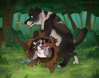 anatomically_correct anatomically_correct_feral anatomically_correct_genitalia anatomically_correct_penis animal_genitalia black_body black_fur bodily_fluids confusion cum dripping duo exclamation_point fellatio feral feral_on_feral forest fur genital_fluids genitals glory_hole grass grey_body grey_fur knot leaking_precum log looking_pleasured male male/male mischievous mischievous_smile multicolored_body multicolored_fur oral paws penile penis plant precum precum_drip precum_on_face raised_tail red_penis rock saliva_drop sex sheath sigh size_difference stealth_sex surprise_oral tail tail_motion tongue tongue_out tree tree_stump white_body white_fur wide_eyed wood fernsigillum coontail coontail_v2 canid canine canis domestic_dog mammal procyonid raccoon 2026 hi_res