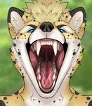 anthro blue_eyes bodily_fluids ear_piercing fangs gaping_mouth male mouth_shot open_mouth piercing saliva saliva_string sharp_teeth solo teeth surylimon selreini_(character) cheetah felid feline mammal absurd_res digital_media_(artwork) hi_res