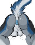 anthro anus backsack balls black_body black_fur blue_anus blue_body blue_fur butt butt_shot fur genitals grey_body grey_fur male multicolored_body multicolored_fur nude presenting presenting_anus raised_tail simple_background solo tail white_background white_body white_fur omez eran_morkon sergal 2023 colored colored_sketch digital_drawing_(artwork) digital_media_(artwork) sketch