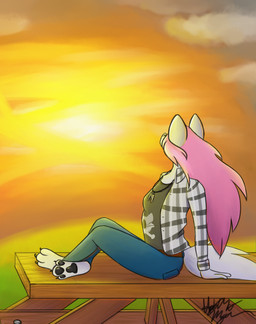 anthro biped clothed clothing female fur hair looking_away nature pink_hair sitting solo sunset white_body white_fur maylehh jessy canid canine canis mammal wolf