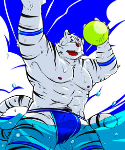 anthro bulge clothing fur humanoid_hands male nipples pecs solo underwear water wet white_body white_fur himachi felid mammal pantherine tiger 2015 5:6 hi_res