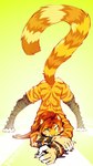 4_toes 5_fingers anthro ass_up breasts brown_hair clothed clothing feet female fingers fur hair jack-o'_pose orange_body orange_fur pose simple_background solo tail toes yellow_eyes neotheta felid mammal pantherine tiger 2021 9:16 digital_media_(artwork) hi_res