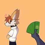 ambiguous_gender anthro anthro_focus banknote black_bottomwear black_clothing black_nose black_pants bottomwear brown_hair clothing ears_up fur hair looking_back male male_focus money offscreen_character pants rear_view shirt simple_background solo_focus standing surprised topwear white_body white_clothing white_fur white_inner_ear white_shirt white_topwear yellow_background yellow_body yellow_fur yellow_sclera ikaro dogelore cheems doge ikaro(ikaro) ambiguous_species canid canine canis domestic_dog mammal 1:1 2025 hi_res meme