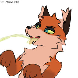 anthro blue_eyes bodily_fluids drinking drinking_urine fox_ears genital_fluids male simple_background solo urine urine_in_mouth watersports white_background canid canine fox mammal 1:1 hi_res
