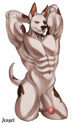 abs anthro areola arms_bent balls black_nose brown_inner_ear brown_markings foreskin fur fur_markings genitals green_eyes half-erect hands_behind_head humanoid_genitalia humanoid_penis lidded_eyes light looking_at_viewer male male_anthro markings mismatched_genitalia mismatched_humanoid_penis mismatched_penis multicolored_body multicolored_fur muscular muscular_anthro muscular_arms muscular_male navel nipples nude_anthro nude_male partially_retracted_foreskin pecs penis pink_areola pink_nipples pink_penis simple_background smile smiling_at_viewer solo tail tail_markings text thick_thighs two_tone_body two_tone_fur two_tone_tail white_background white_balls white_body white_fur white_penis white_tail angellumen robb_(beniboy) canid canine canis domestic_dog mammal pit_bull 2024 absurd_res colored digital_drawing_(artwork) digital_media_(artwork) english_description english_text hi_res lighting portrait shaded three-quarter_portrait