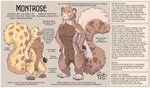 2021 4_nipples andromorph animal_genitalia anthro balls border brown_balls brown_body brown_fur brown_sheath duo english_text flat_chested fluffy fluffy_tail fully_sheathed fur genitals hayven_celestia herpestid intersex looking_at_another male mammal model_sheet mongoose montrose multi_nipple nipples pawpads penis pussy rick_griffin sheath simple_background size_difference species_sheet tail tan_background tan_body tan_fur text text_box white_border yellow_body yellow_fur
