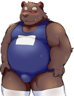 anthro belly blush bodily_fluids brown_body brown_fur bulge clothed clothing cute_fangs eyes_closed fangs fur male one-piece_swimsuit overweight overweight_anthro overweight_male school_swimsuit simple_background solo sweat swimwear teeth white_background 12beat13 bear mammal 2015