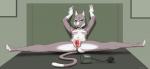 anthro bed breasts butt female flexible fur furniture genitals inflation_bulb inside looking_at_viewer nipples nude open_mouth plump_labia presenting presenting_pussy pump pumped_pussy pussy pussy_pump simple_background solo splits spread_legs spreading gewitter domestic_cat felid feline felis mammal 2017 digital_media_(artwork) hi_res