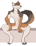 abs anthro brown_body brown_fur claws digitigrade fur male muscular muscular_anthro muscular_male nude solo toe_claws yellow_sclera jrjresq canid canine canis coyote mammal hi_res