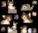 anthro bottomless breasts brown_body brown_fur brown_hair clothed clothing female fur green_eyes hair humor looking_at_viewer scrungy sweater sweater_only topwear topwear_only white_body white_fur dorian-bc crying_cat polite_cat helia_peppercats domestic_cat felid feline felis mammal 2019 alpha_channel digital_media_(artwork) hi_res meme