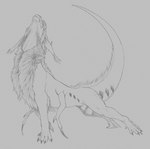 6_limbs animal_genitalia balls black_claws claws detached_sheath feral fully_sheathed fur genitals male mane quadruped sheath solo stretching tail white_sheath yaroul mythology dragon furred_dragon furred_scalie hybrid mythological_creature mythological_scalie scalie 2024 hi_res