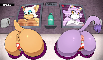 anal_only anthro anus areola big_breasts big_butt black_nose breasts butt camel_toe camera_view duo eyelashes female green_eyes hair half-closed_eyes happy huge_breasts inside lube lube_bottle narrowed_eyes nipples public_use puffy_anus purple_hair pussy_tape raised_tail short_hair smile tail tape teeth text through_wall toilet_paper white_hair yellow_eyes h-lab sega sonic_the_hedgehog_(series) blaze_the_cat rouge_the_bat bat domestic_cat felid feline felis mammal 2023 absurd_res english_text hi_res