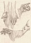 5_fingers anatomy anthro claws cloven_hooves diagram fingers high-angle_view hooved_fingers hooves horn low-angle_view multiple_poses paws pose side_view russell_tuller mythology dragon equid equine mammal mythological_creature mythological_equine mythological_scalie scalie unicorn 2017 graphite_(artwork) hi_res model_sheet sketch traditional_media_(artwork)