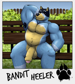 anthro armpit_hair balls big_balls big_penis bodily_fluids body_hair foreskin genital_fluids genitals humanoid_genitalia humanoid_penis male muscular muscular_anthro muscular_male nipples nude outside penis precum sitting smile solo sweat violet_raven bluey_(series) bandit_heeler canid canine canis domestic_dog mammal hi_res