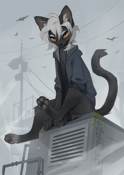 ambiguous_gender anthro biped clothed clothed_ambiguous clothed_anthro clothing feet fingers front_view fur hair looking_at_viewer outside paws solo tail toes reysi domestic_cat felid feline felis mammal 2026 digital_drawing_(artwork) digital_media_(artwork) hi_res