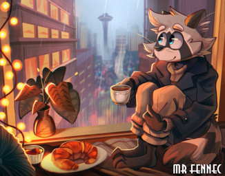 anthro beverage bottomwear bread clothing coffee container cup detailed_background food grey_body humanoid_hands inside pants raining sitting solo srfennec frost_(frostttz) mammal procyonid raccoon 2022 hi_res