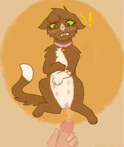 bestiality collar duo female female_feral feral human_on_feral interspecies male male/female master_and_pet questionable_consent striped_body stripes breezepawlt warriors_(book_series) princess_(warriors) domestic_cat felid feline felis human mammal hi_res