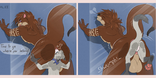 against_surface anal anal_vore anthro balls big_balls duo genitals male male/male on_glass oral raised_tail rimming sex speech_bubble tail vore al.ice mammal mustelid otter absurd_res hi_res