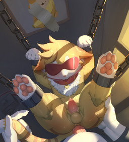 4_toes anal anal_fluids anal_penetration anthro anthro_on_feral anthro_penetrating anthro_penetrating_feral anus ball_gag balls banana bdsm bestiality blindfold blonde_hair blush bodily_fluids bondage bound brown_stripes buckled_collar butt camera chain chained cheek_tuft chest_tuft claws collar collar_tag cuff_(restraint) cum cum_while_penetrated cumshot detailed_background digitigrade duo ears_down ejaculation erection faceless_character faceless_male facial_tuft feet feral feral_penetrated first_person_view food front_view fruit gag gagged genital_fluids genitals hair hands-free heart_collar_tag inside larger_anthro larger_male leg_markings legs_up light male male/male male_penetrated male_penetrating male_penetrating_male male_pov markings pawpads penetration penile penile_penetration penis penis_in_ass picture_frame pink_pawpads pink_penis pivoted_ears plant red_collar restraints sex shackled shackles size_difference smaller_feral smaller_male smaller_penetrated socks_(marking) solo_focus standing standing_sex striped_markings striped_tail stripes submissive submissive_feral submissive_male suspension suspension_bondage tail tail_grab tail_markings tape tapering_penis toe_claws toes tuft white_claws yellow_balls hauhau_mg firestar6853 domestic_cat felid feline felis mammal 2021 hi_res lighting