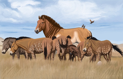 brown_markings cloud feral fur grass grey_body grey_fur group male markings plant quadruped realistic_feral short_fur size_difference sky stripes tan_body tan_fur white_stripes agustindiazart ambient_bird equus_giganteus equus_scotti prehistoric_species 2023 detailed hi_res